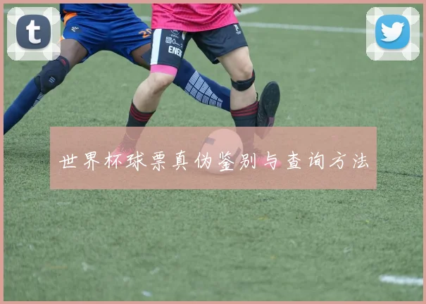 世界杯球票真伪鉴别与查询方法