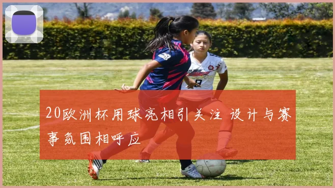 20欧洲杯用球亮相引关注 设计与赛事氛围相呼应