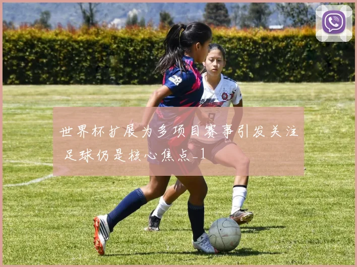 世界杯扩展为多项目赛事引发关注 足球仍是核心焦点_1